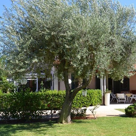 Villa Paola Fontane Bianche Extérieur photo